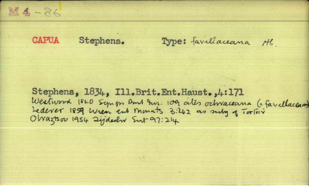 front of card